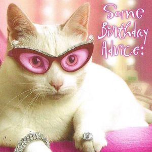 Meet your Posher, Mackenzie